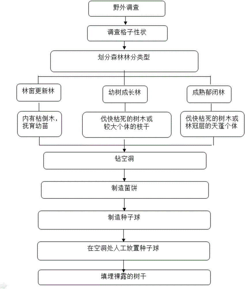 Method for promoting quick forest restoration by aid of fallen tree residual bodies