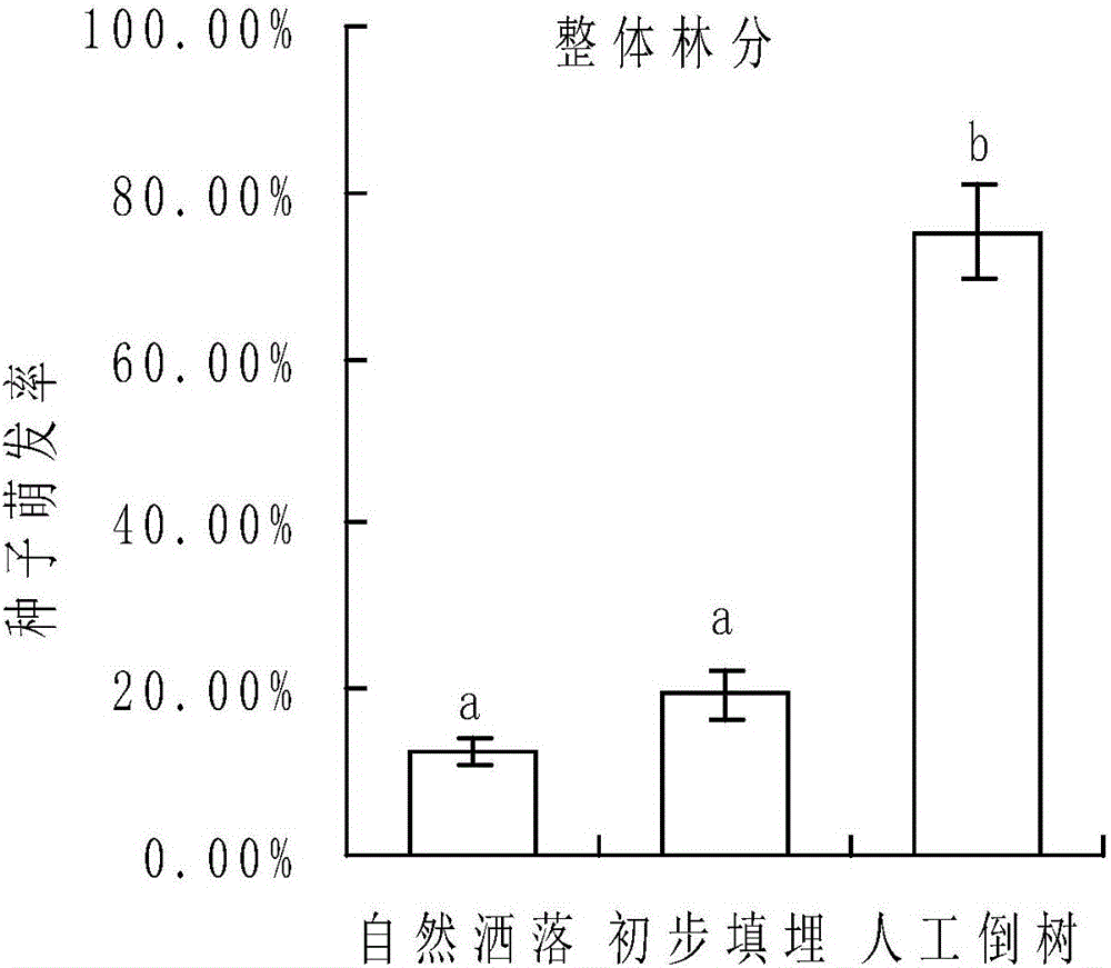 Method for promoting quick forest restoration by aid of fallen tree residual bodies