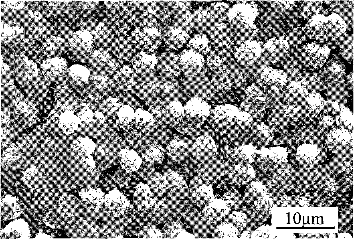 Method for rapid depositing barium tungstate micron film at low-temperature