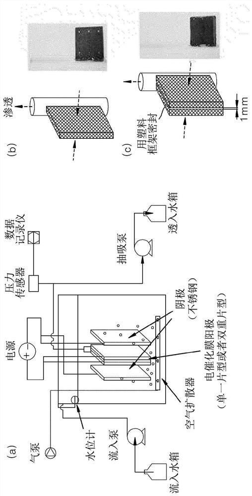 Composite oxide-coated electroconductive separation membrane for water treatment and manufacturing method therefor