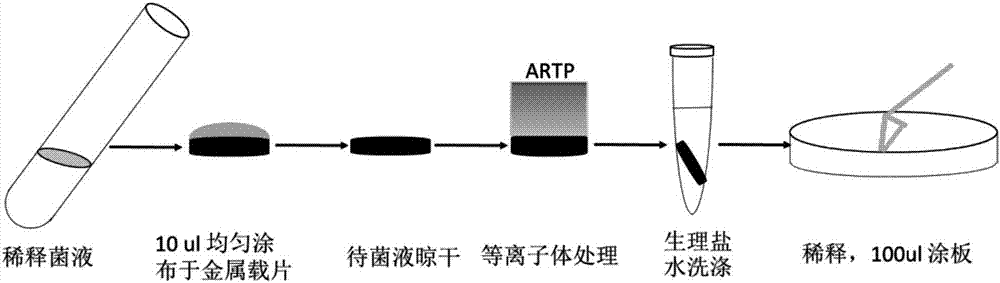 Bacterial strain and application thereof