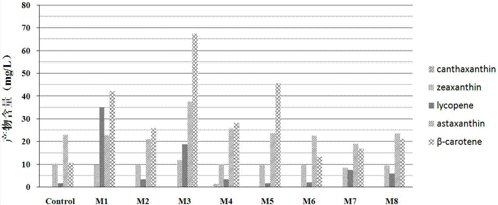 Bacterial strain and application thereof