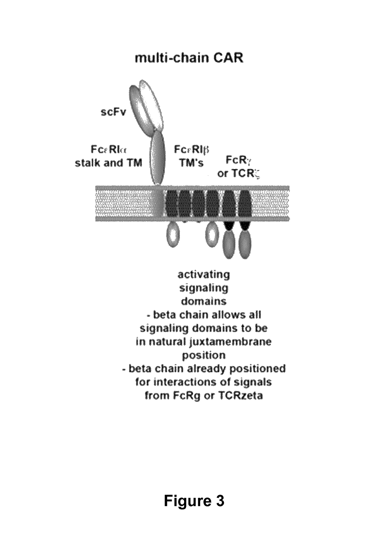 Methods for engineering T cells for immunotherapy by using RNA-guided CAS nuclease system