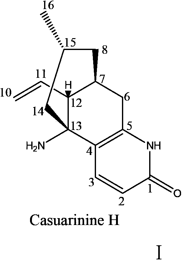 Alkaloid Casuarinine H and use thereof in preparation of medicines for treating neurodegenerative diseases