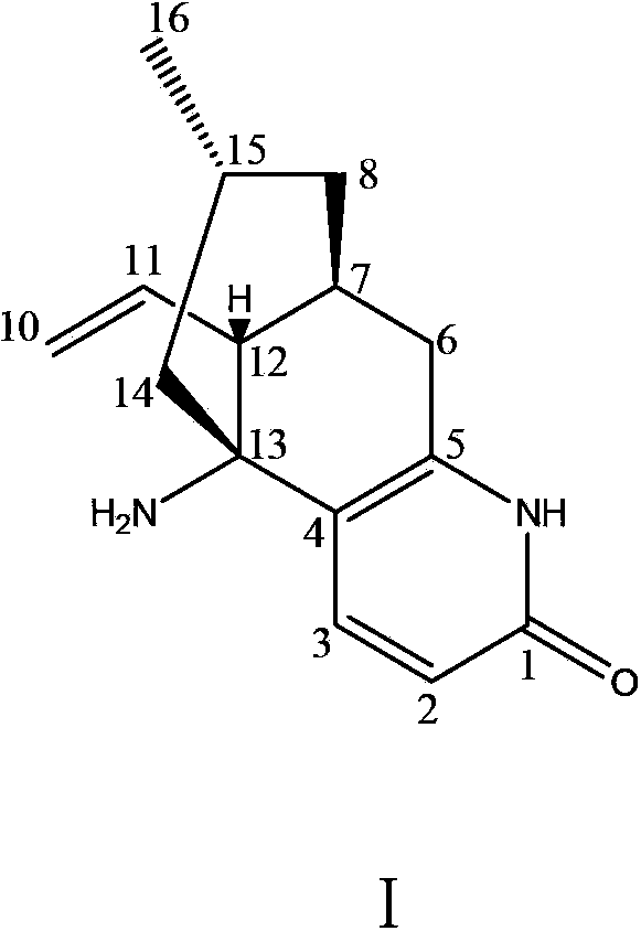 Alkaloid Casuarinine H and use thereof in preparation of medicines for treating neurodegenerative diseases