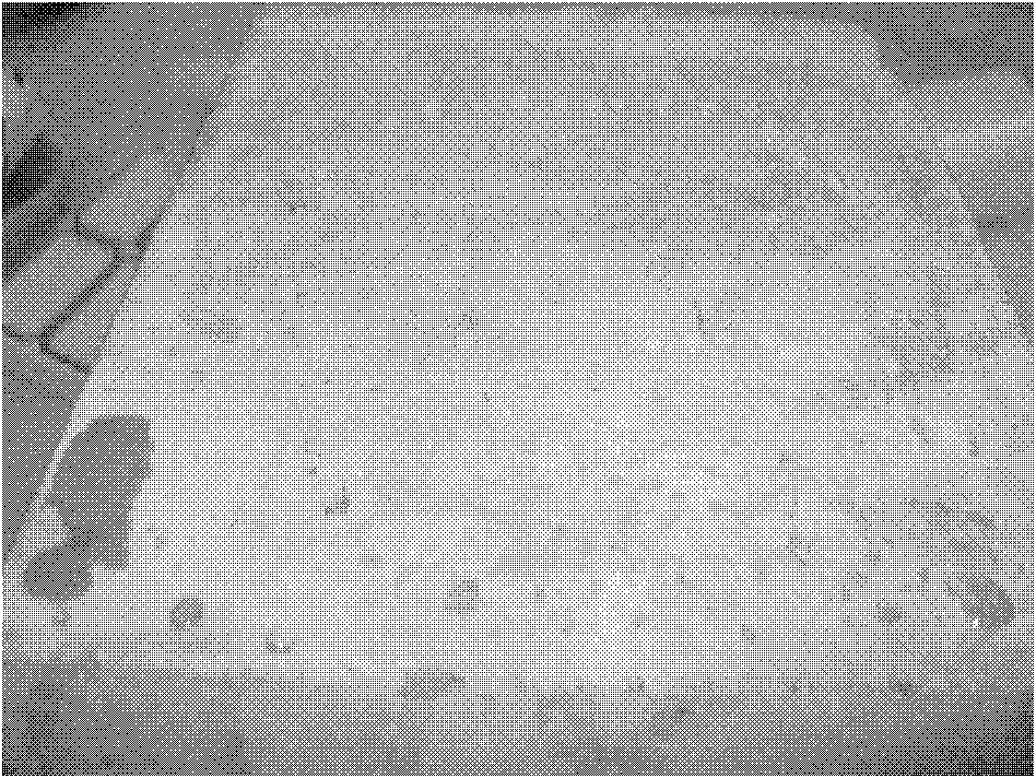 Multifunctional concrete structure endurance protective agent, preparation and application method thereof