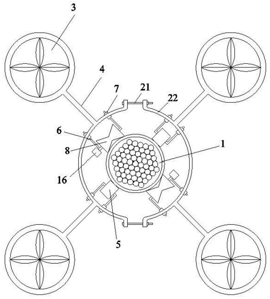 A kind of detection device and detection method of boom disease