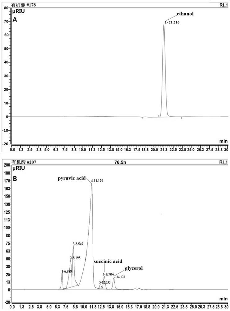 A kind of Saccharomyces cerevisiae engineered strain with high pyruvic acid production and fermentation method thereof