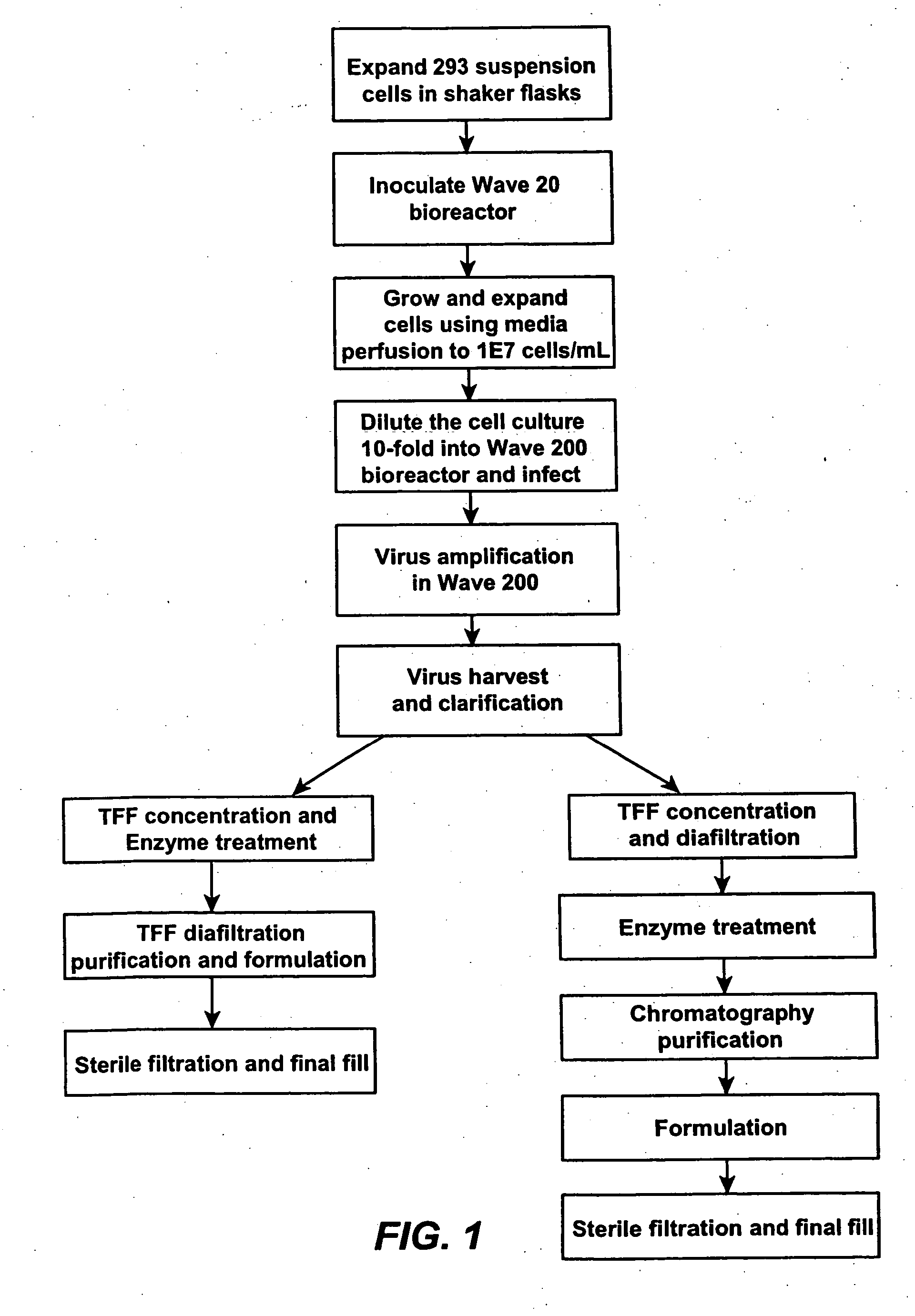 Novel method for the protection and purification of adenoviral vectors