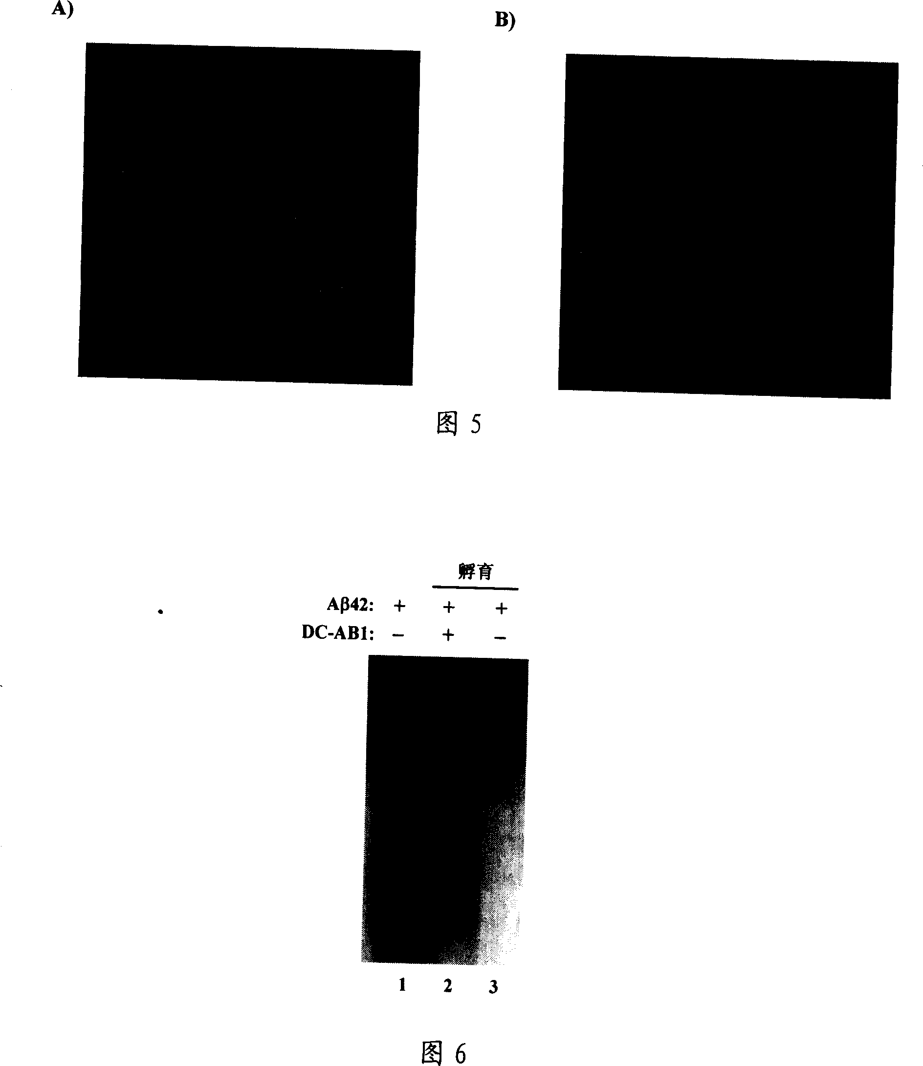 Small molecule inhibitor for preventing Alzheimer's disease Abeta polypeptide from fiberizing and its preparation method, pharmaceutical composition and application