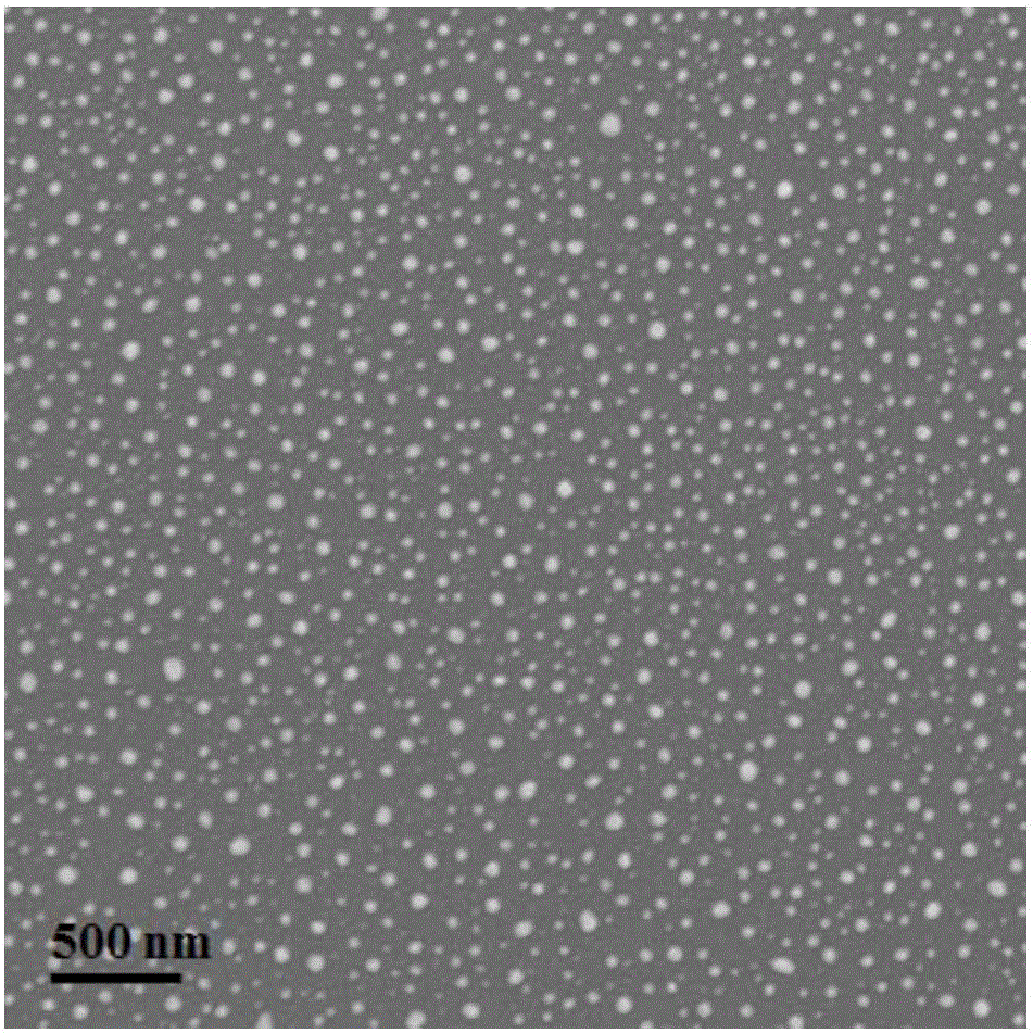 InN nanopillar epitaxial wafer growing on Si substrate and preparation method thereof