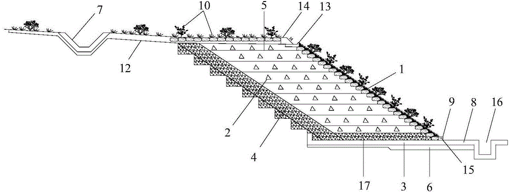 Flexible expansion reduced ecological slope protection construction