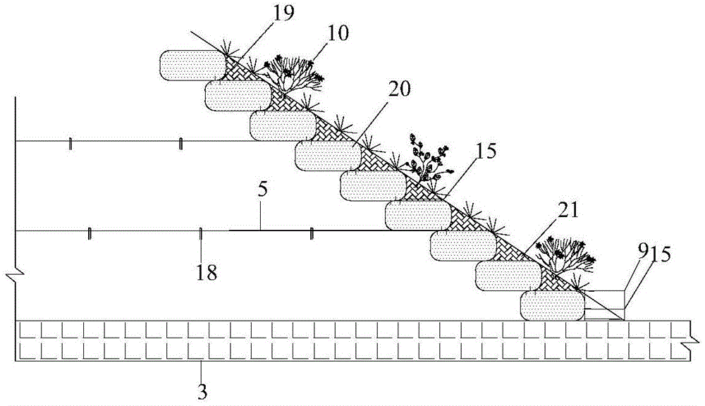 Flexible expansion reduced ecological slope protection construction