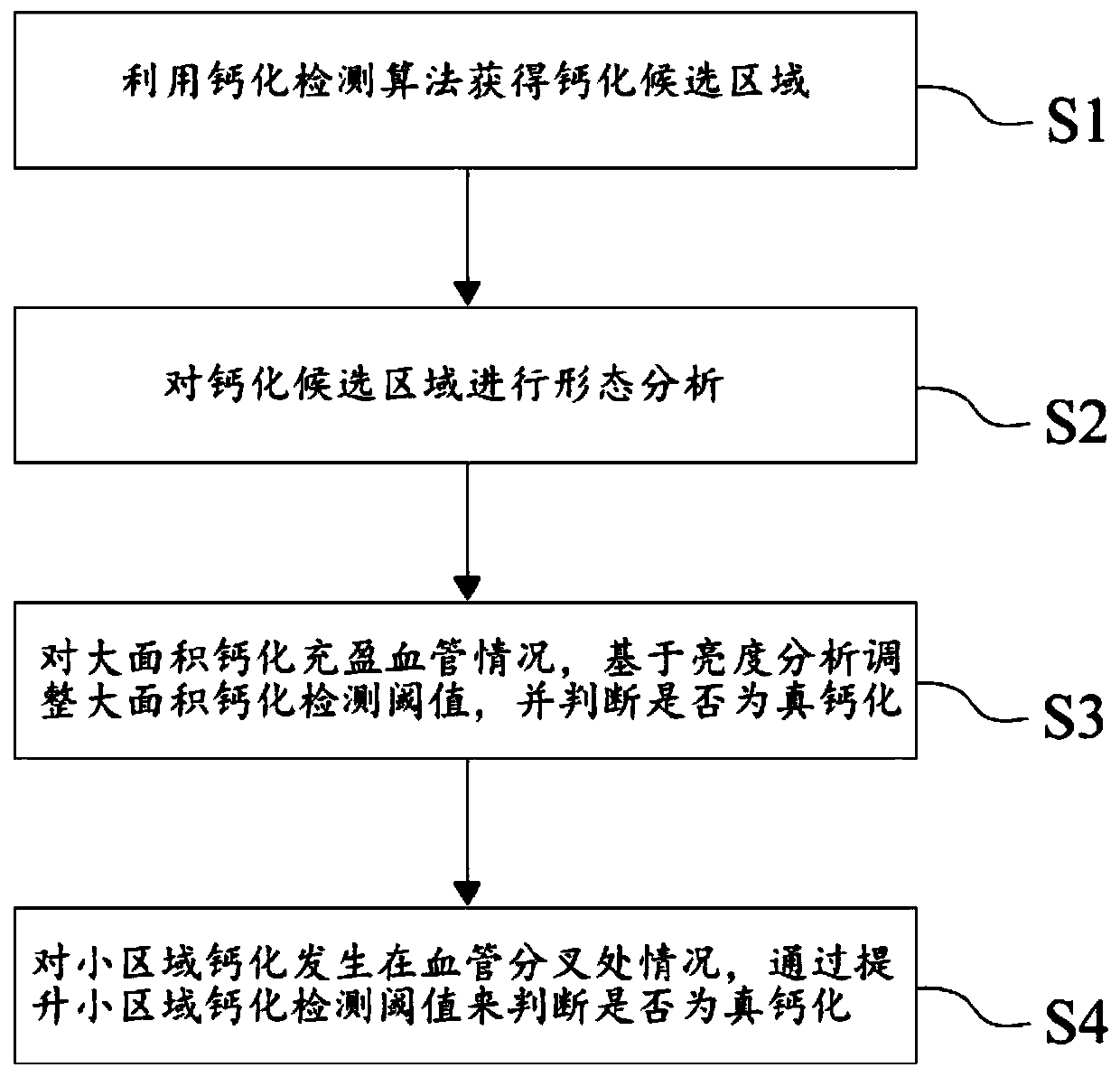 Blood vessel calcification false alarm detection method based on brightness analysis