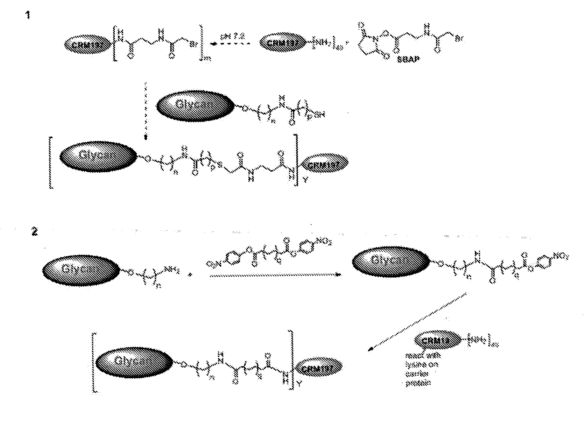 Glycan conjugates and use thereof