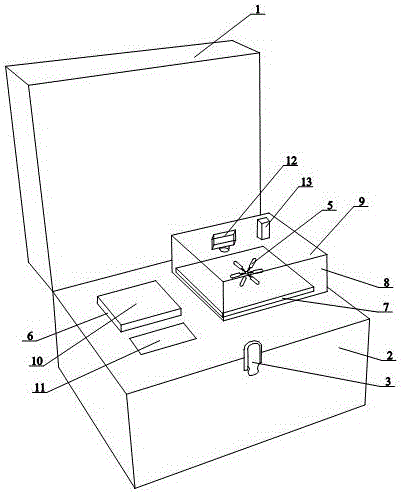 Portable micro-fluidic chip LAMP (loop-mediated isothermal amplification) visible detector and detection method thereof