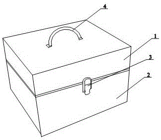 Portable micro-fluidic chip LAMP (loop-mediated isothermal amplification) visible detector and detection method thereof