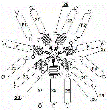 Portable micro-fluidic chip LAMP (loop-mediated isothermal amplification) visible detector and detection method thereof