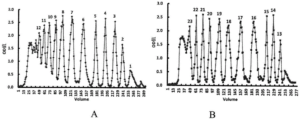 Application of sodium alginate oligose and derivative to treatment of inflammations