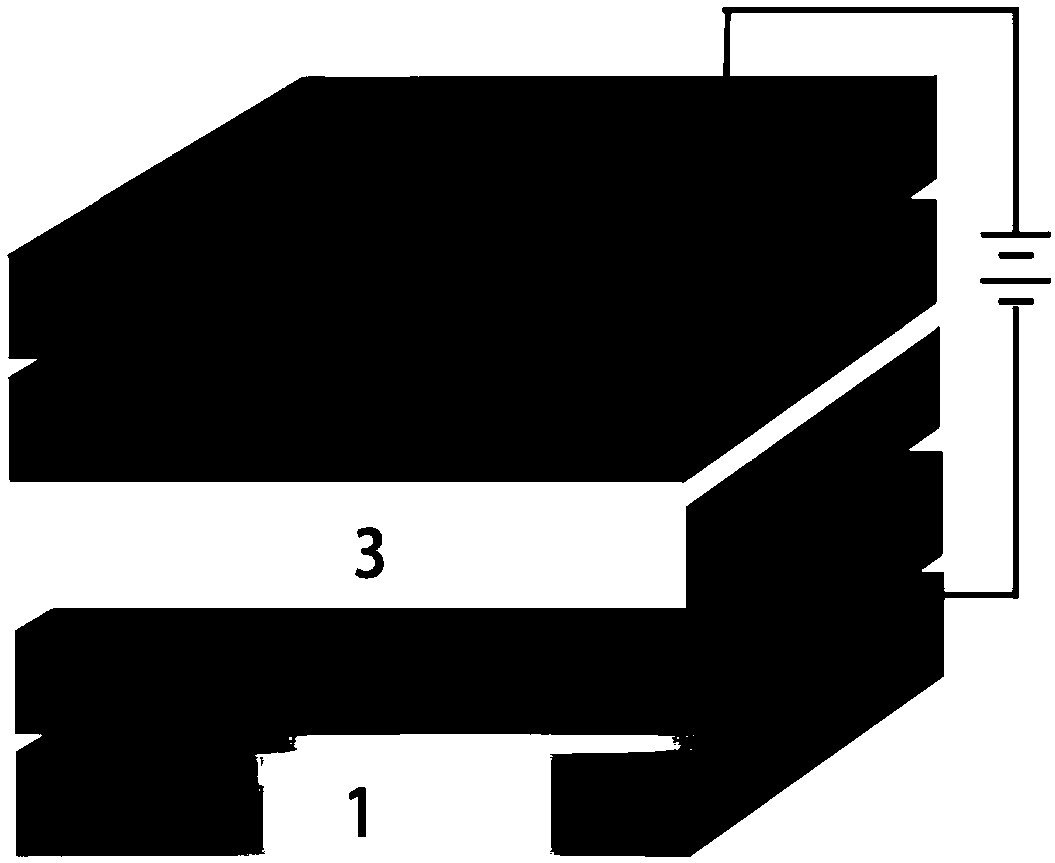 Photomultiplier organic photodetector with spectral selectivity and preparation method thereof