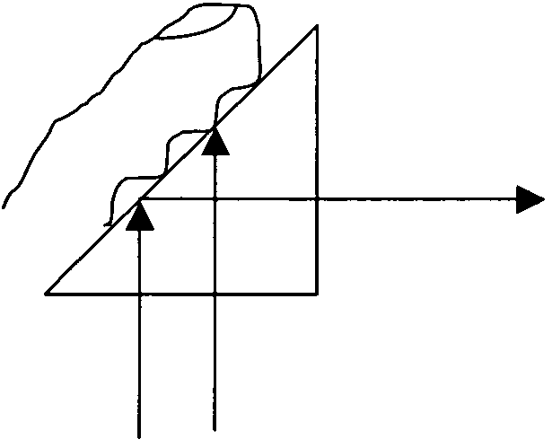 Fingerprint sensor using a spectral filter and a holographic optical element