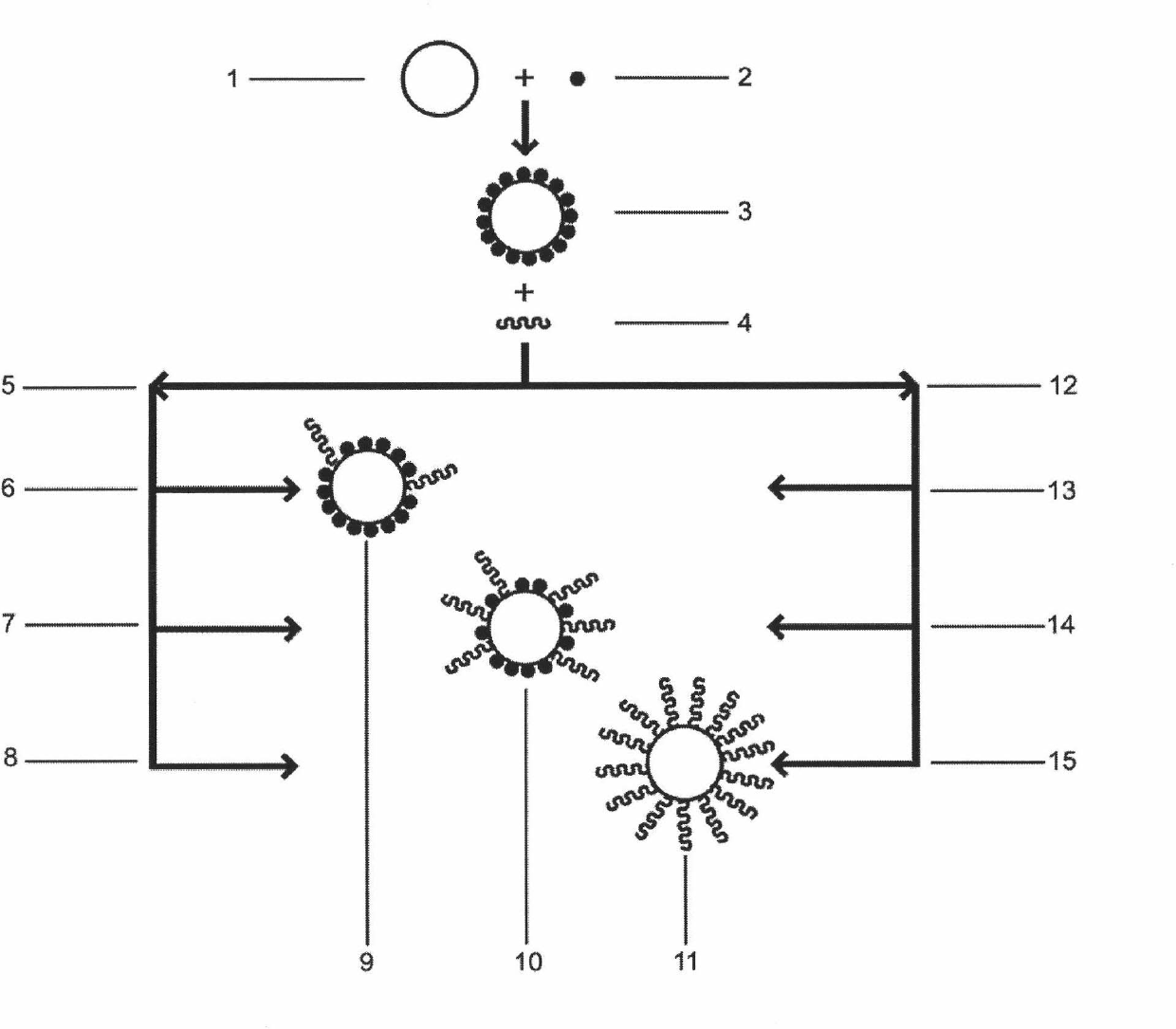 Method of manipulating the surface density of functional molecules on nanoparticles