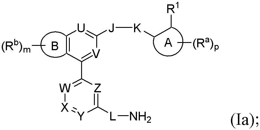 Substituted benzofuran, benzopyrrole, benzothiophene, and structurally related complement inhibitors