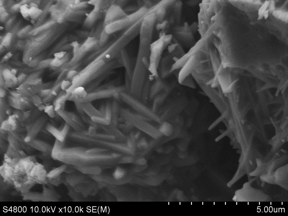 Low-density ceramsite propping agent made from flint clay clinker and dolomite and preparation method of low-density ceramsite propping agent