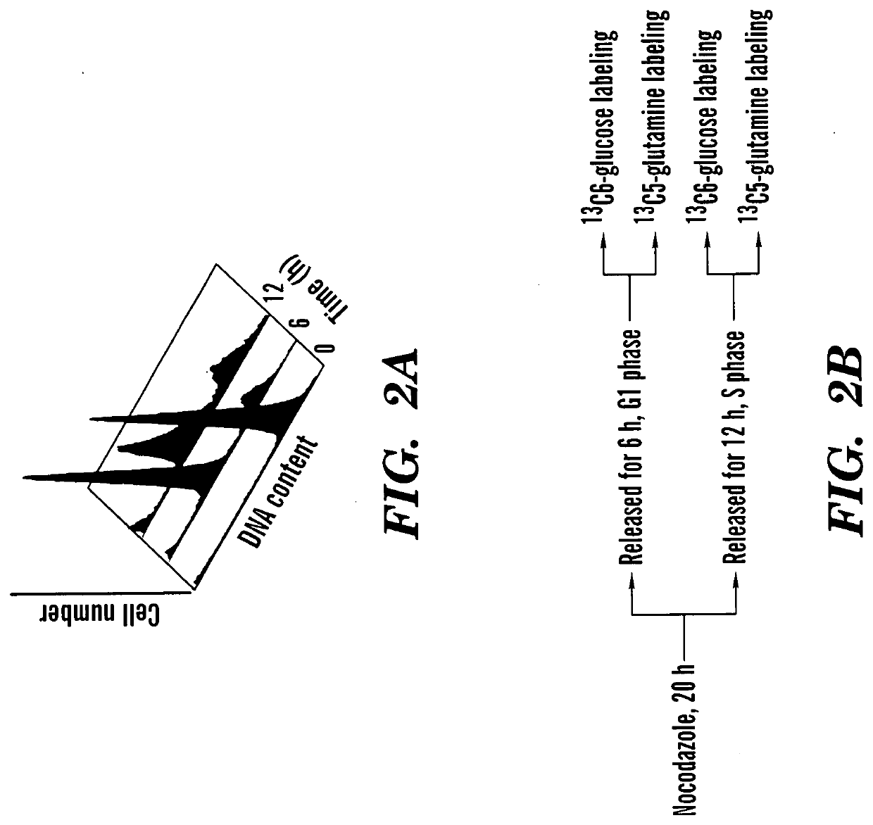 Compositions and methods for treating cancer