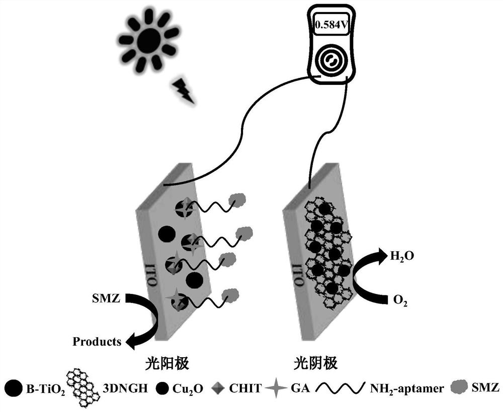 Construction method of novel photo-assisted bipolar self-energized aptamer sensing device