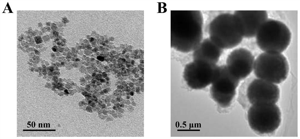 Construction method of novel photo-assisted bipolar self-energized aptamer sensing device