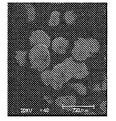 Method for producing coenzyme q10 particle