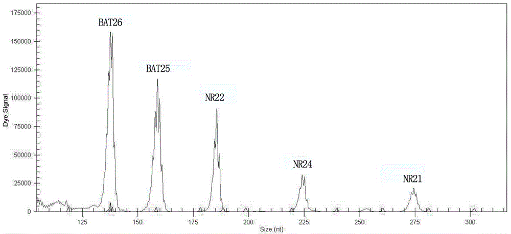 Microsatellite instability multiple detection system and kit