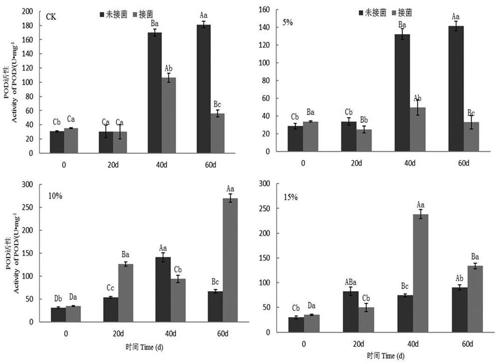 An endophytic fungus y6 that enhances the antioxidant capacity of casuarina under high-salt environment