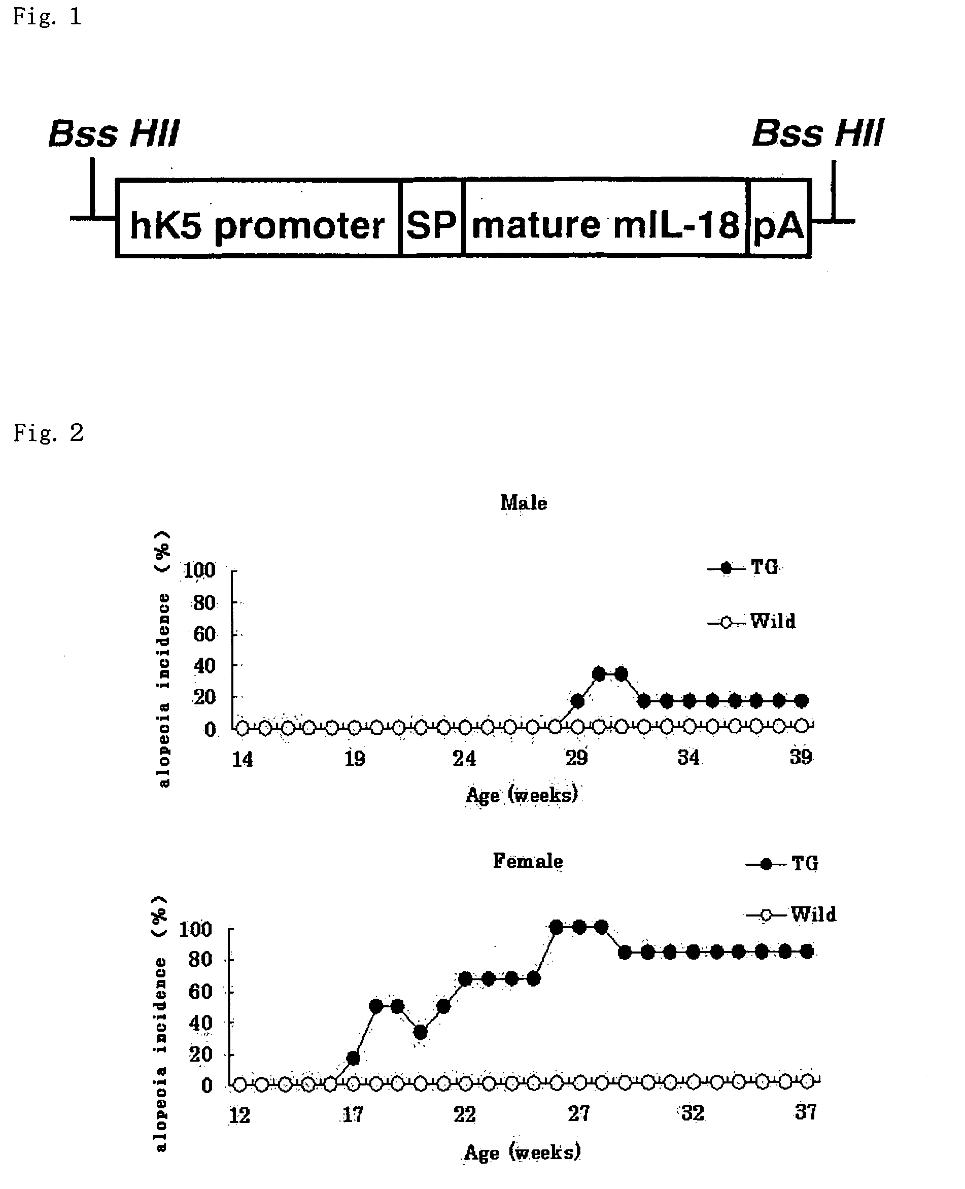 Preventive or therapeutic agents for dermatitis or alopecia, evaluation method of the agents, and transgenic mouse