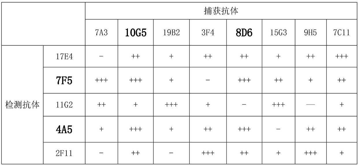 Immunochromatographic assay kit for determinating lipoprotein-associated phospholipase A2 and preparation method thereof