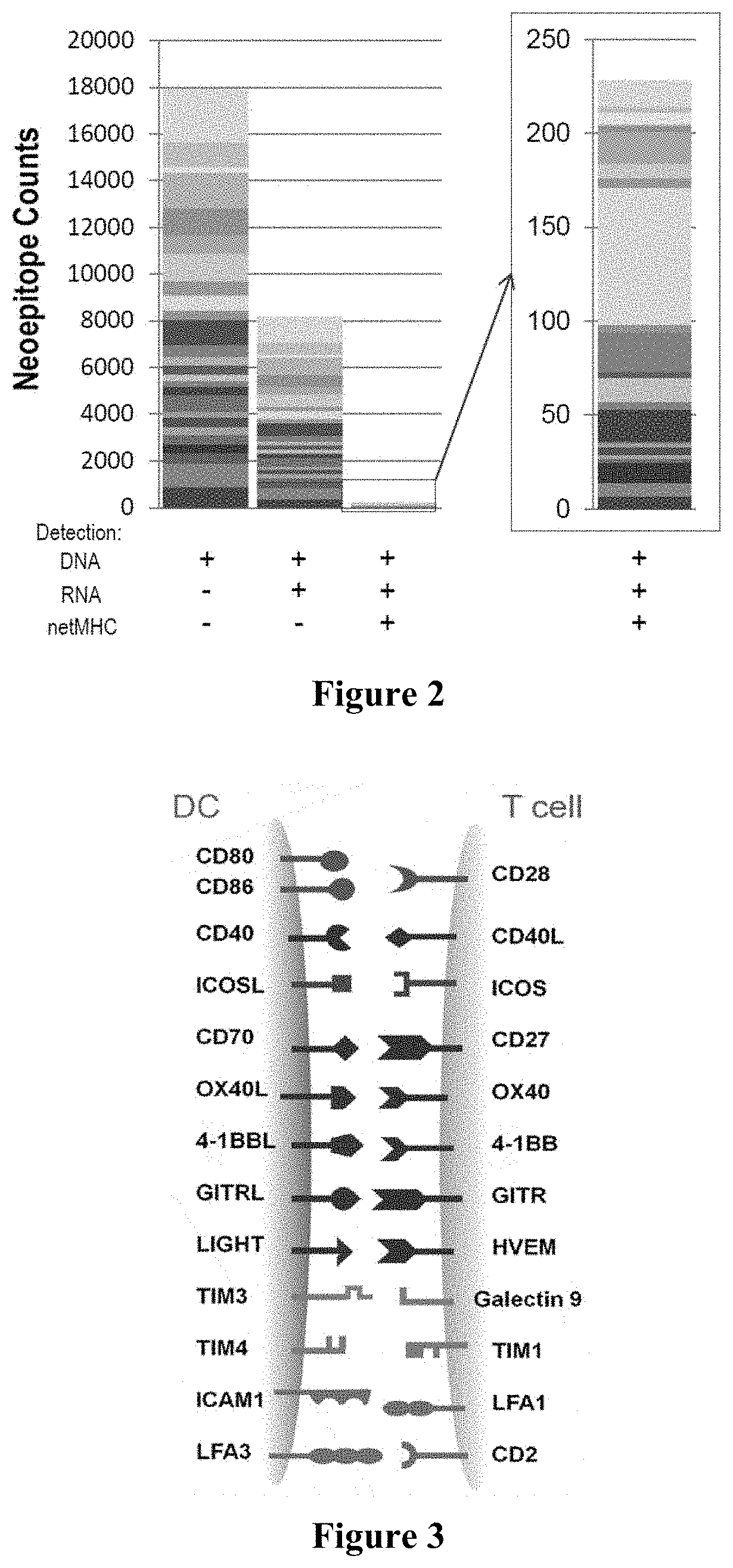 Improved Compositions And Methods For Viral Delivery Of Neoepitopes And Uses Thereof