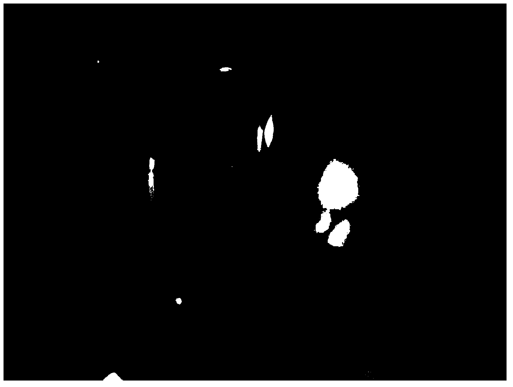 Preparation method for nanometer composite anti-fogging film