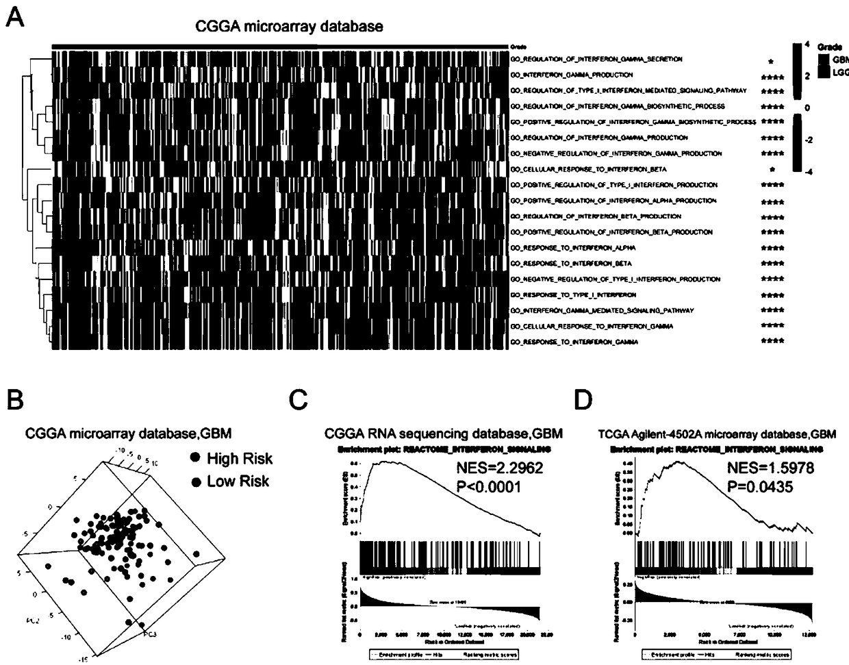 An interferon-related kit for evaluating prognosis and predicting chemotherapy efficacy in gliomas