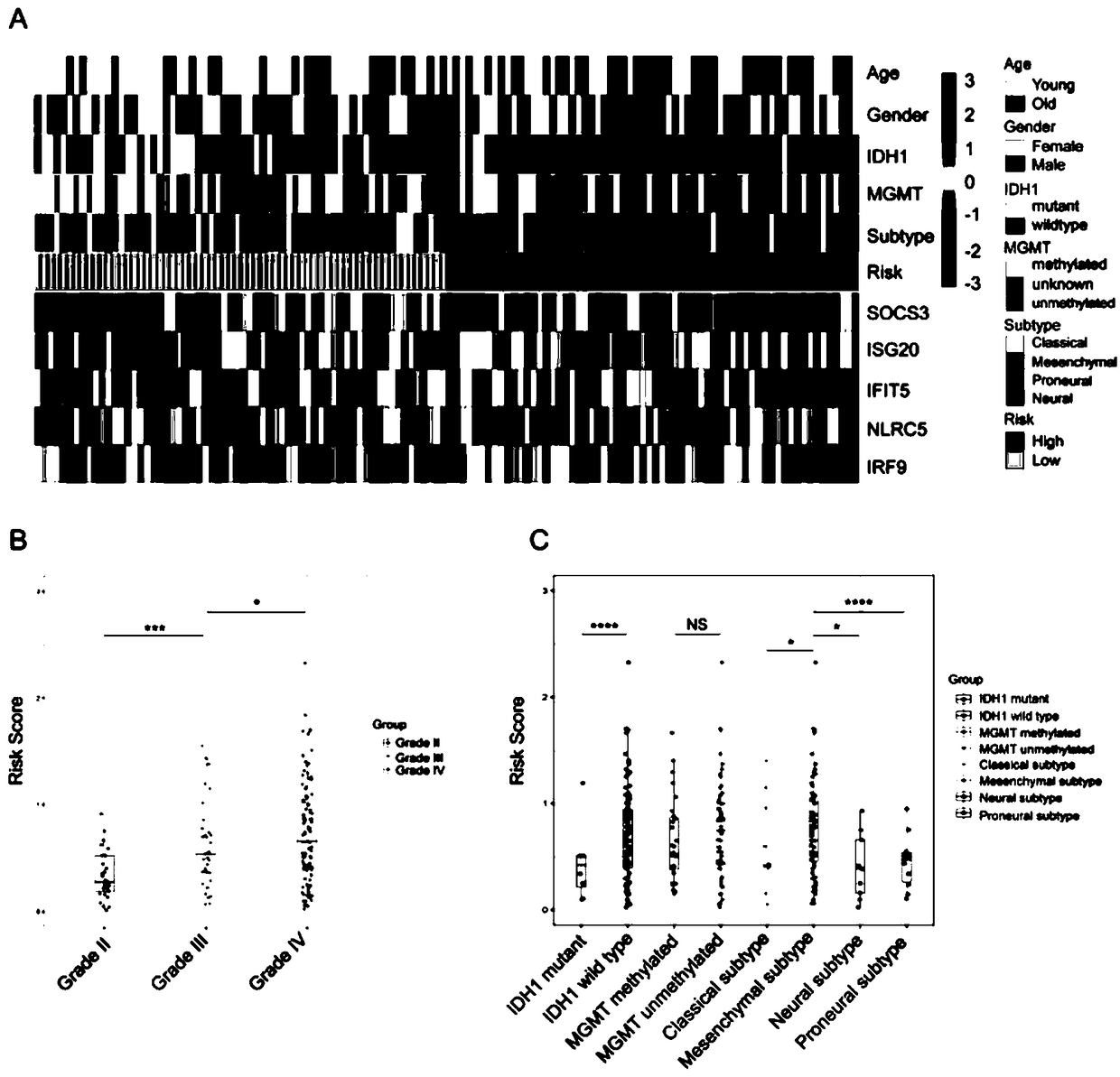 An interferon-related kit for evaluating prognosis and predicting chemotherapy efficacy in gliomas