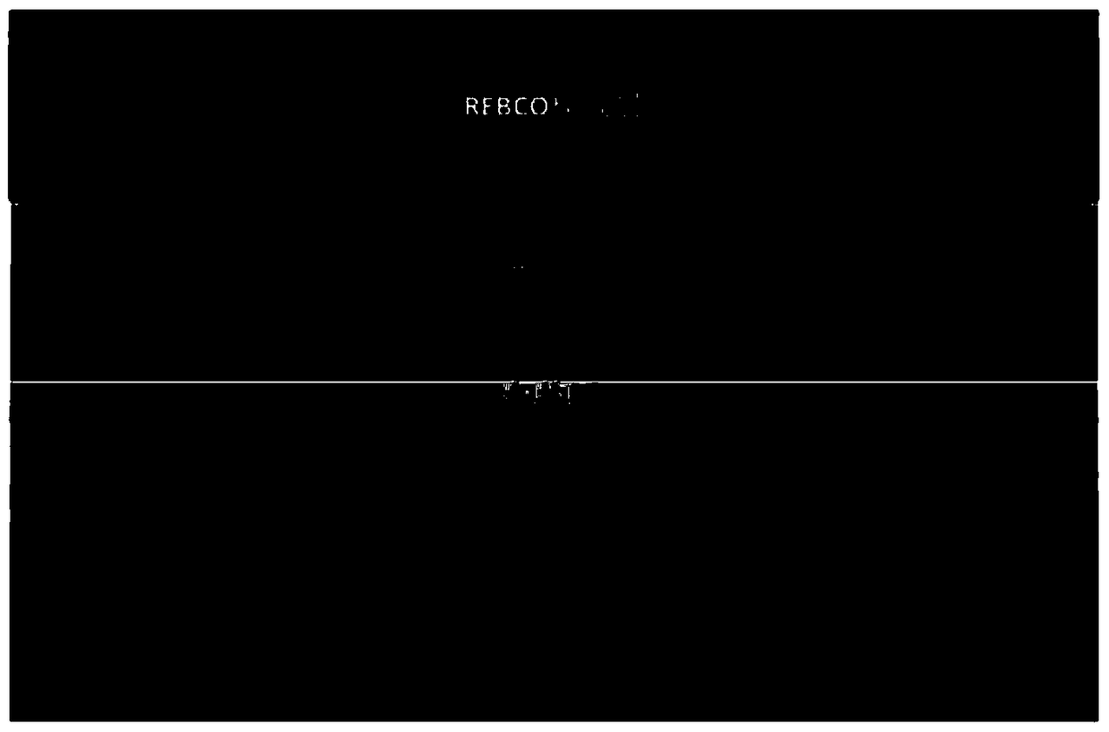 A kind of SERS substrate and preparation method based on rebco template