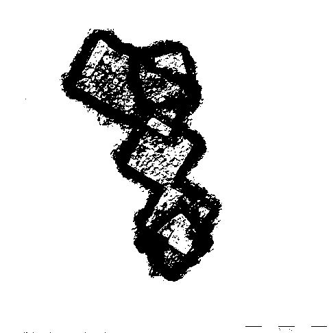 Method for preparing graphene oxide by dispersed emulsion assisted with Hummers method