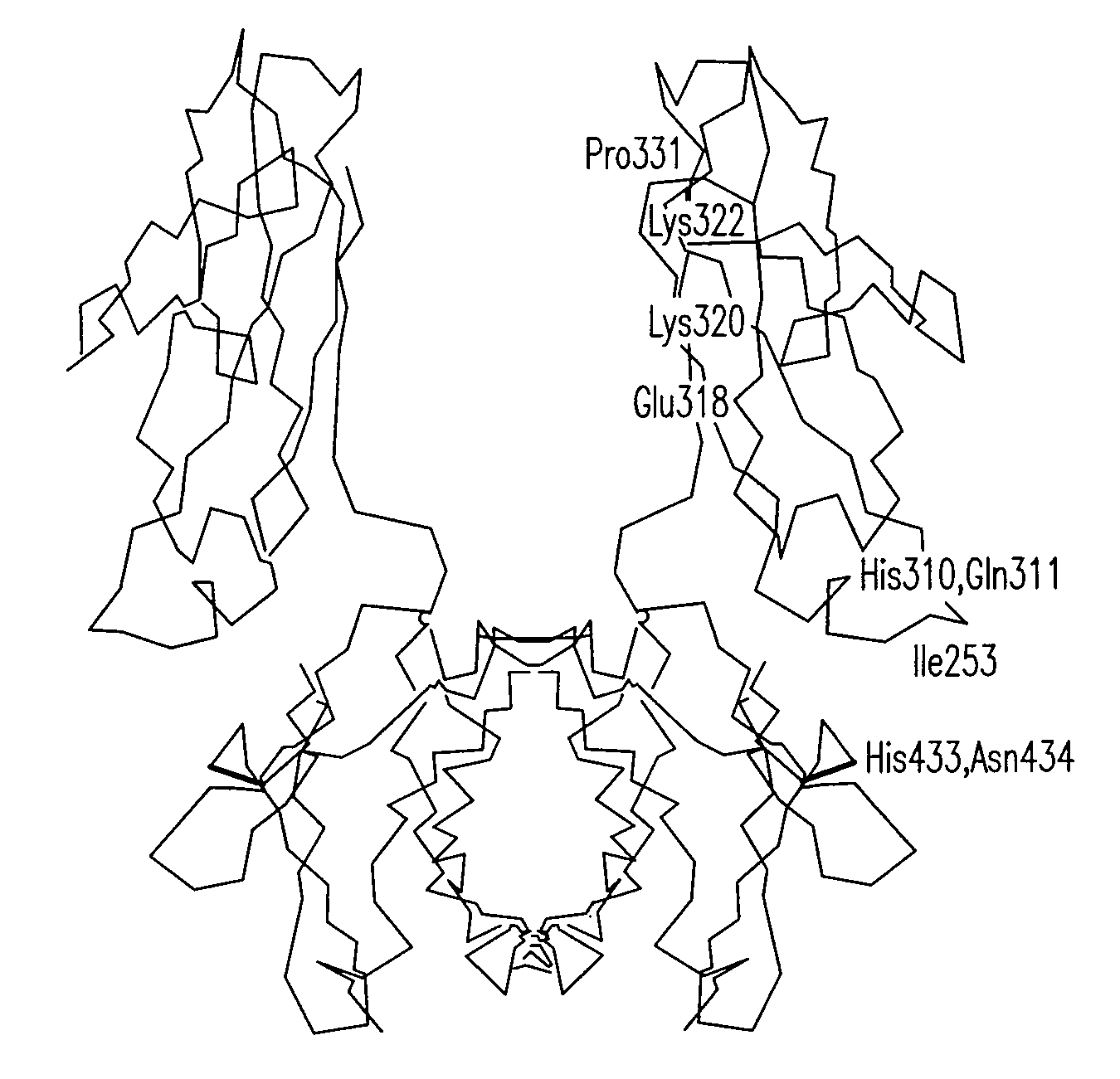 Molecules with extended half-lives, compositions and uses thereof