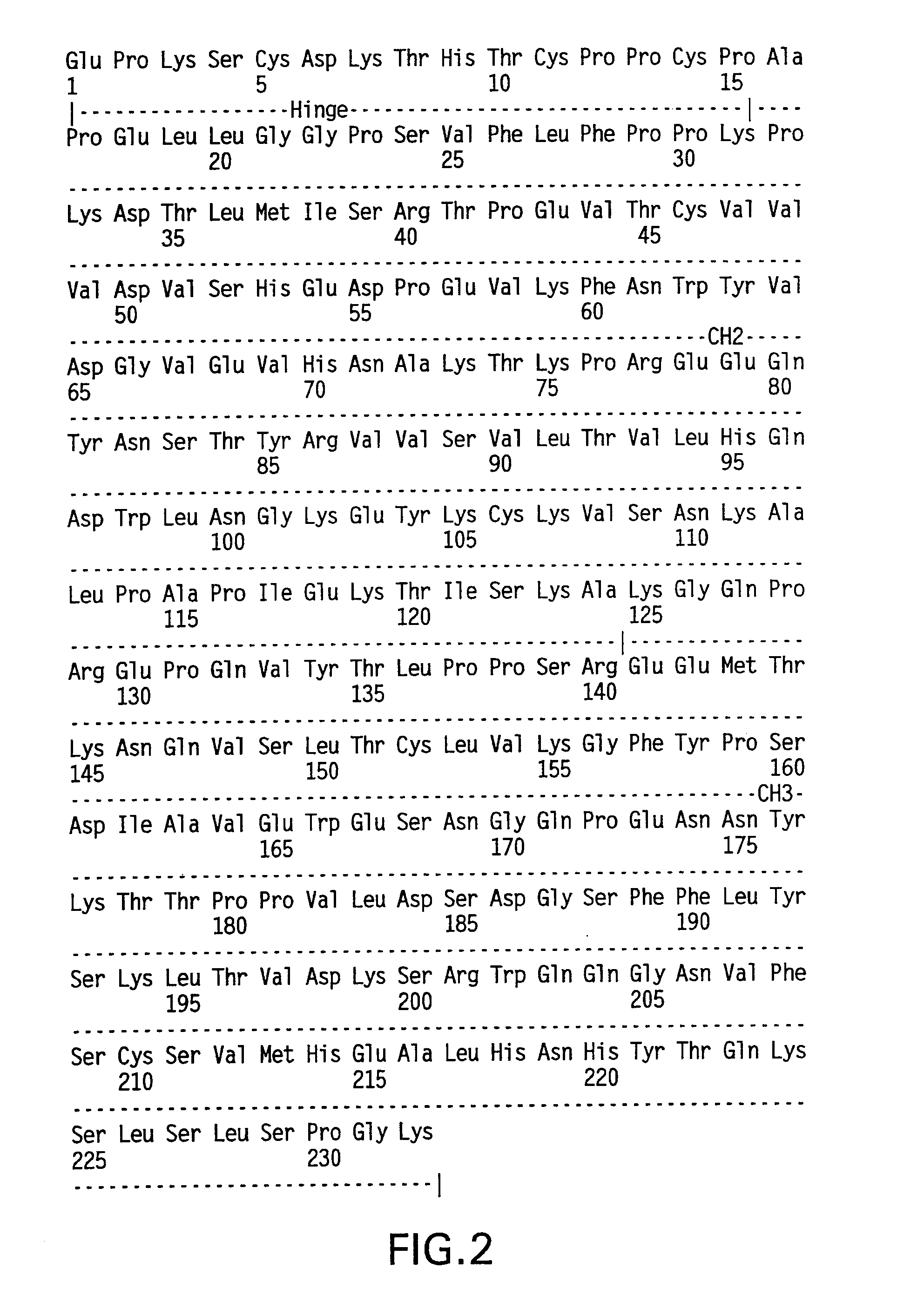 Molecules with extended half-lives, compositions and uses thereof