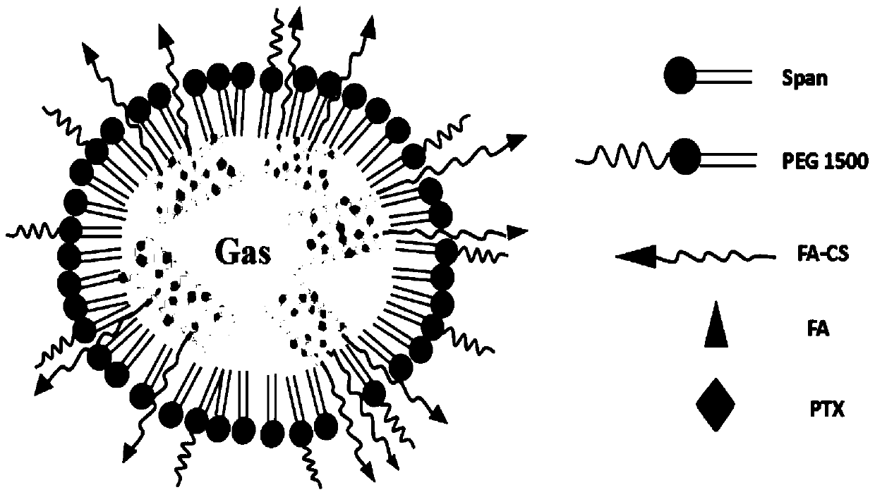 A kind of targeted drug-loaded nano-scale ultrasonic microbubble and preparation method thereof