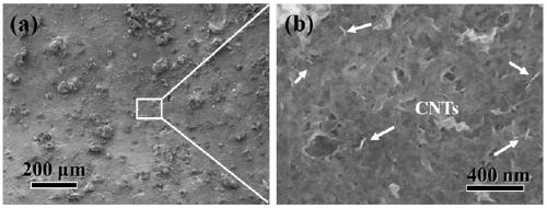 Preparation method for synthesizing carbon nanotube reinforced foam aluminum composite material based on rapid foaming method