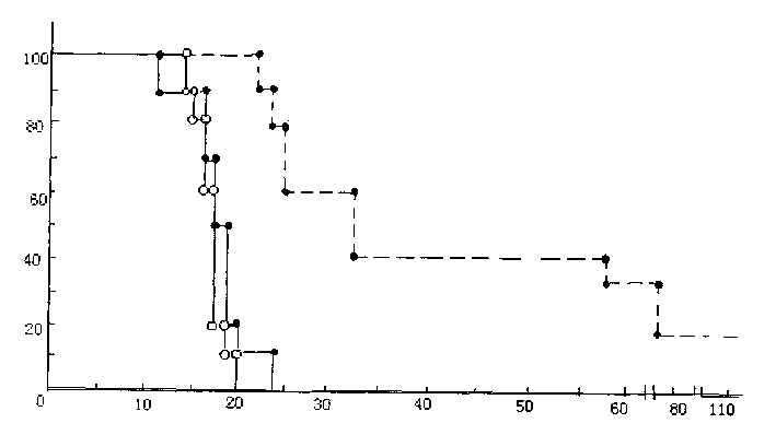 Carmustine slow-release tablet and its preparation method