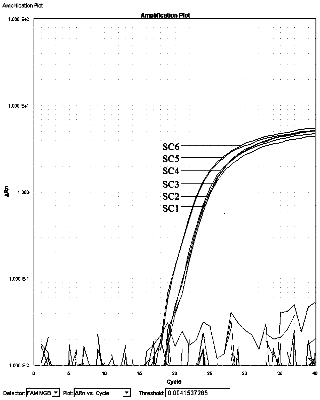 Fluorescent quantitative PCR (polymerase chain reaction) detection reagent and kit for Claviceps purpurea and their application