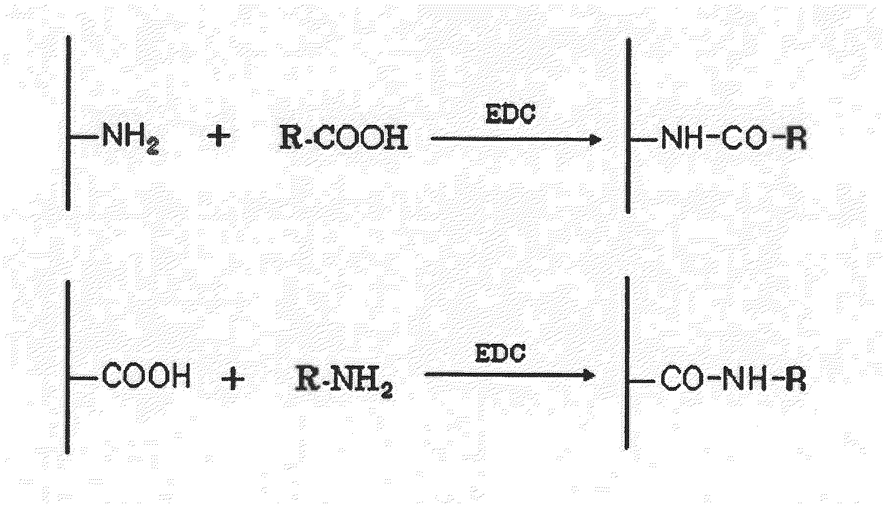 Drug Delivery Carrier