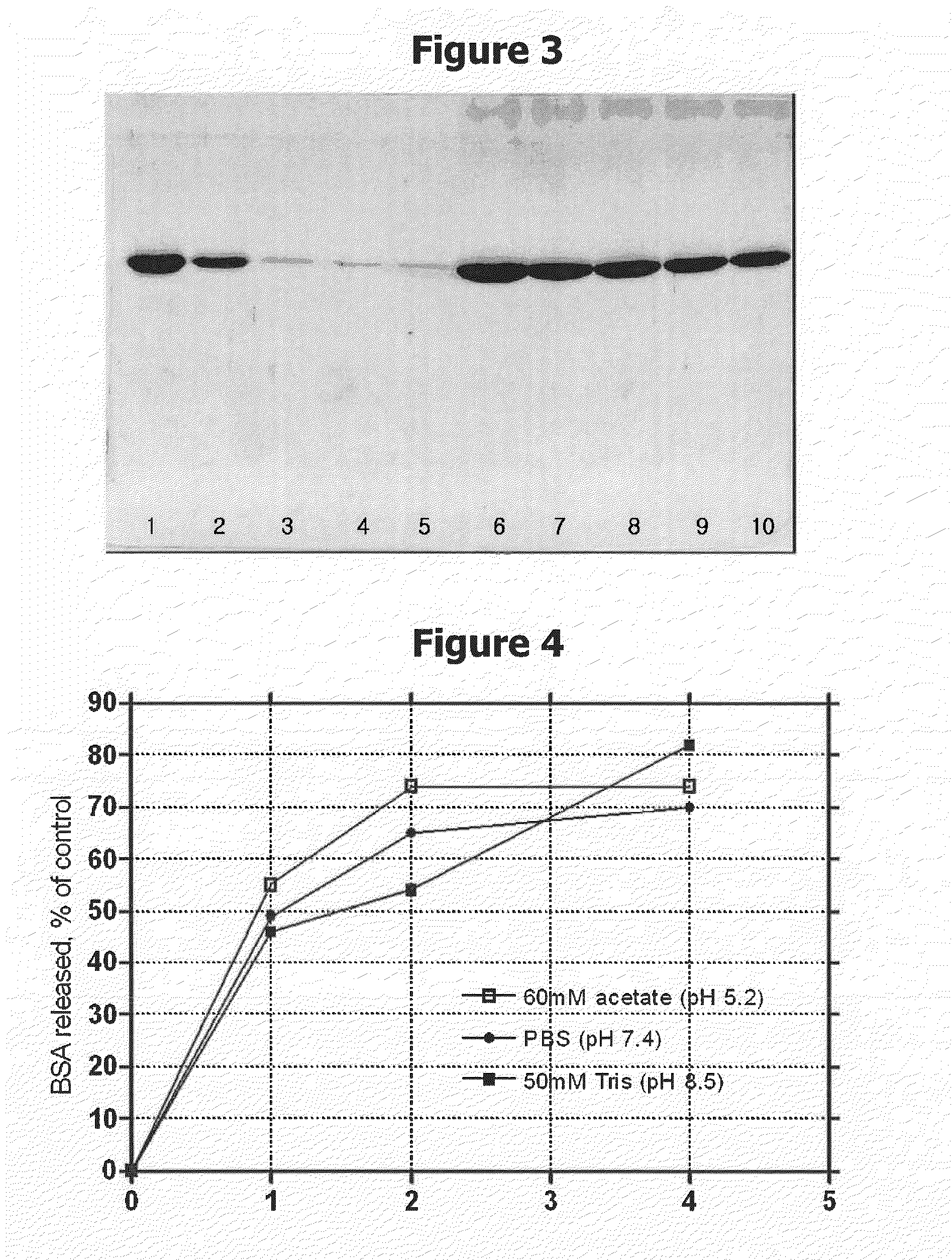 Drug Delivery Carrier